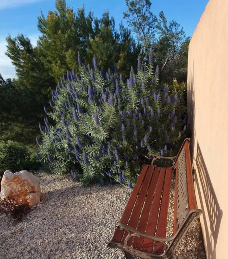 Apartment Sejour Detente Pour Toute La Famille Martigues